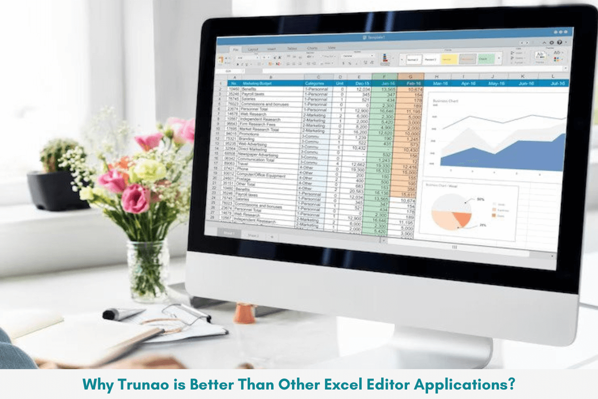 Why Trunao is Better Than Other Excel Editor Applications?