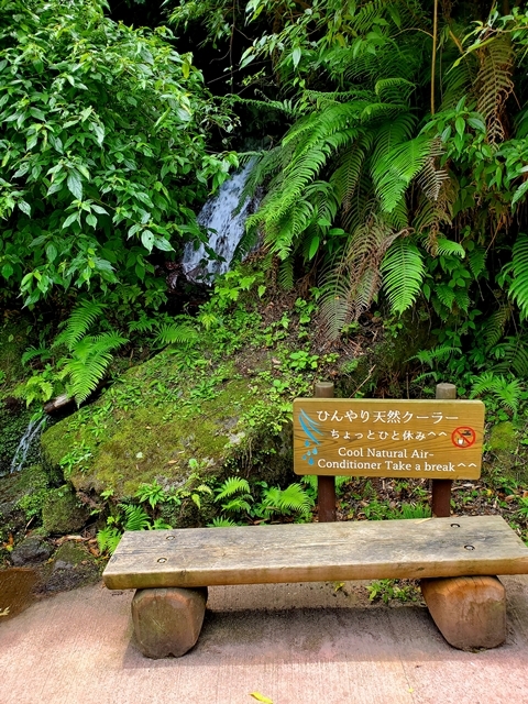 雄川の滝7