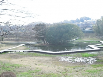 厳島湿性公園２３０３０６