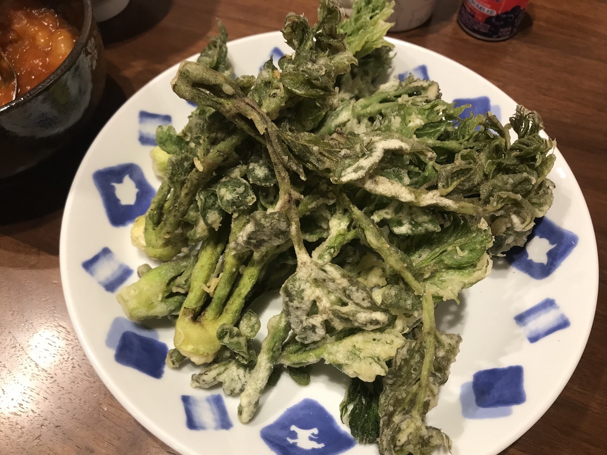 フキ煮＆山菜7