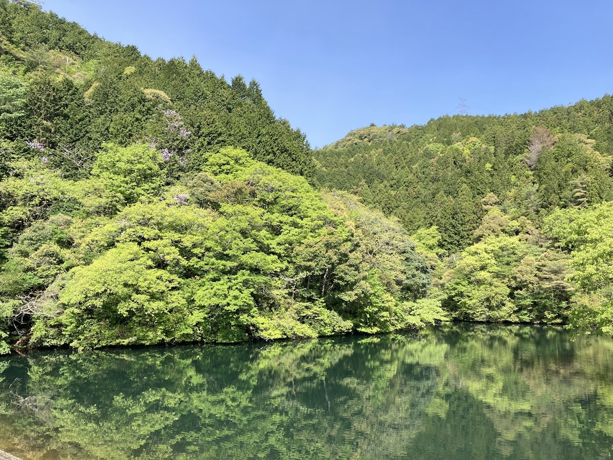 2023花尾山/多々良池