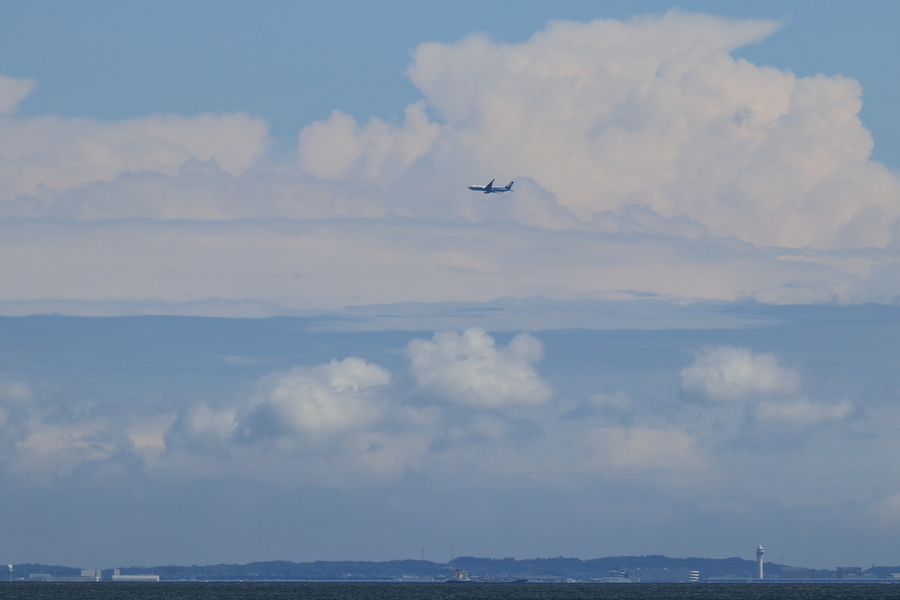 海と遠方には空港の管制塔が見え空には飛行機が飛んでいる画像