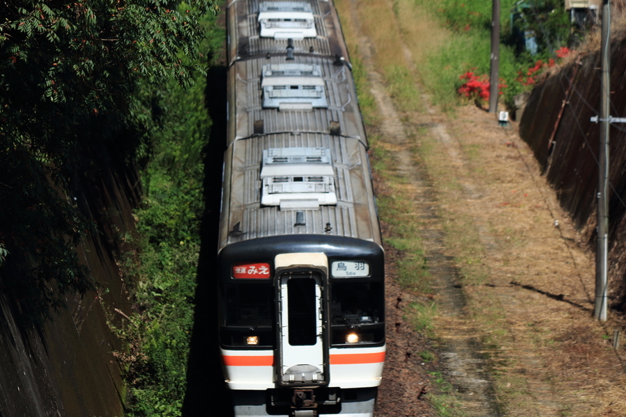 線路上を走る2両編成の列車を線路をまたぐ橋から見おろす。線路の周囲の風景も写っているの画像