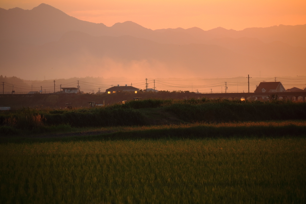 夕焼けで染まった山並みと野焼きの煙が漂う田んぼの風景の画像