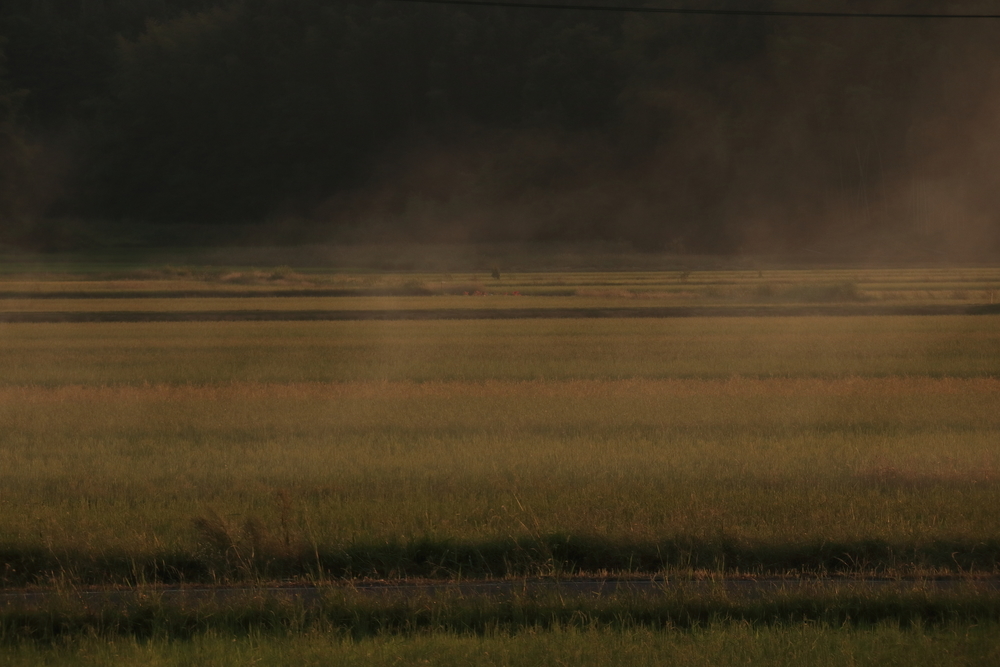 野焼きの煙が漂うの稲刈りを終えた田園風景の画像