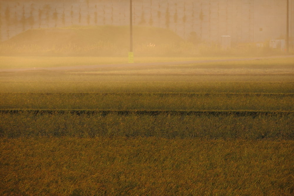 野焼きの煙が漂うの稲刈りを終えた夕方の田園風景の画像