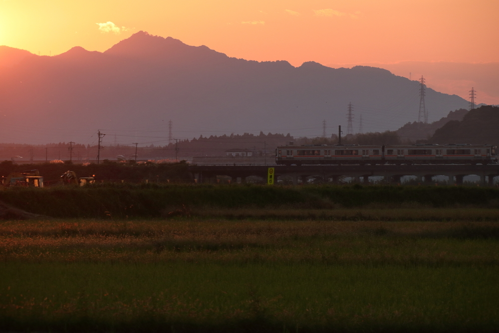 夕焼けで染まった山並みと田んぼの風景の中を走る列車の画像