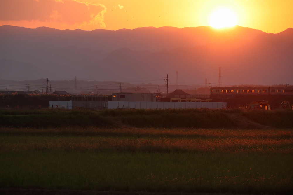 夕焼けで染まった山々と田んぼの風景の中を走る列車の画像