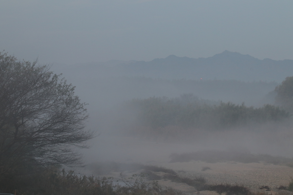 一本の木と川霧が静かに流れる川と霧で霞む山と早朝の風景の画像