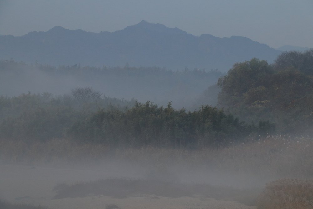 川霧が静かに流れる川と霧で霞む山と早朝の風景の画像