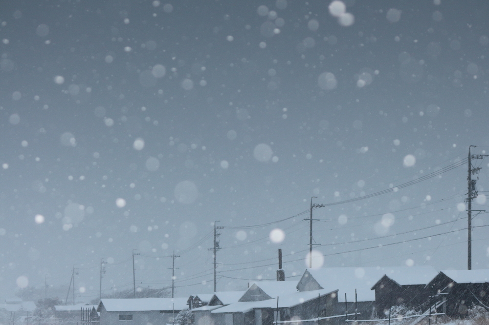 建ち並ぶ黒い作業小屋に降りしきる雪と灰色の空の画像