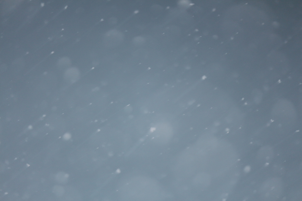降りしきる雪とグレーの空の写真