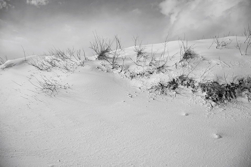 北区雪の島見浜