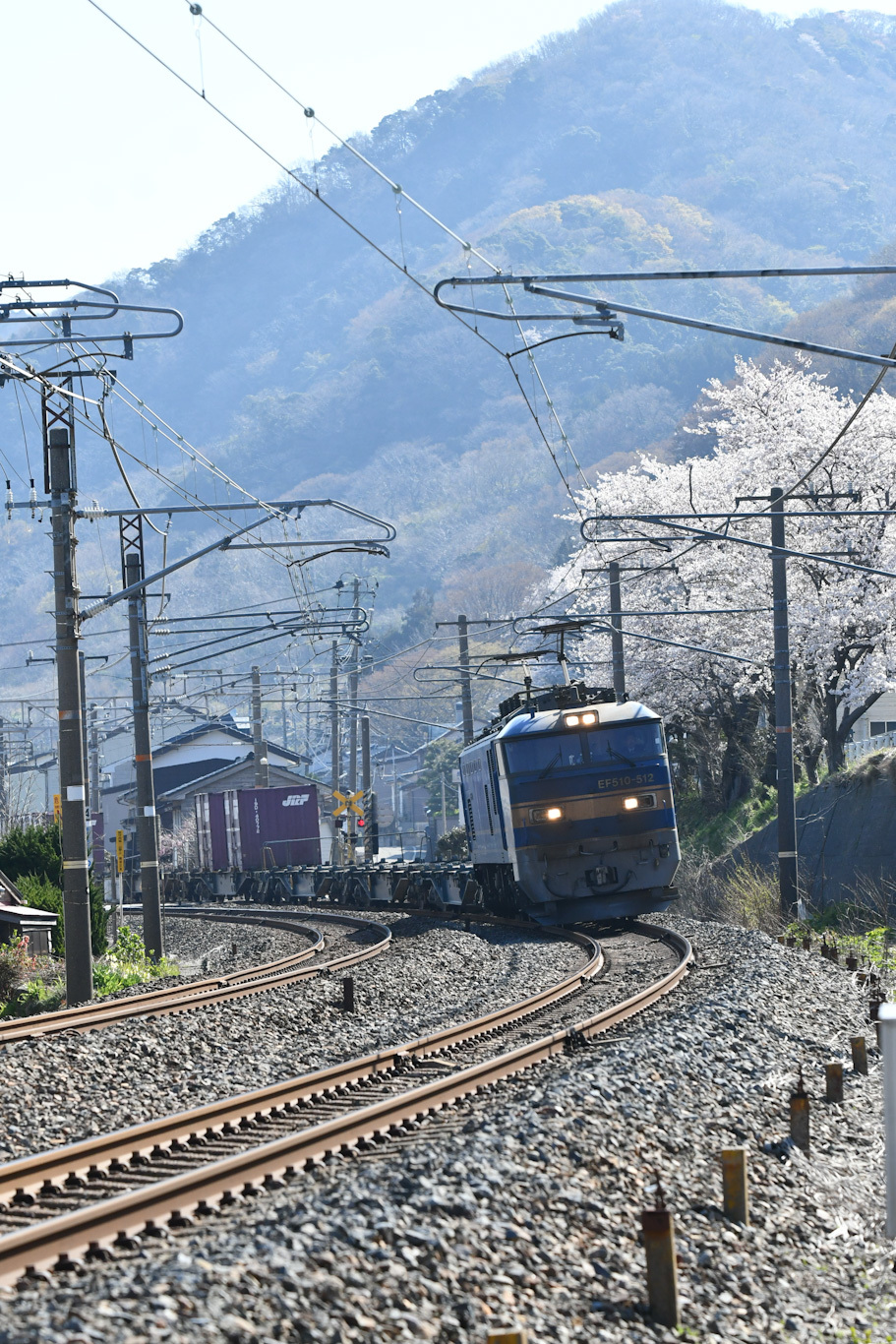 2023年4月2日撮影　日本海縦貫線　4076ﾚ　EF510-512号機　桜の下