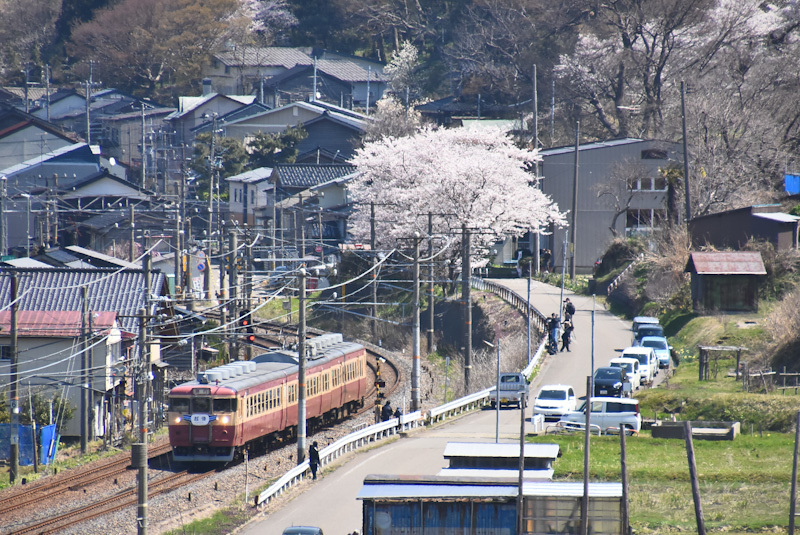 2023年4月2日撮影　日本海ひすいライン　413・455系　急行1号　桜の下