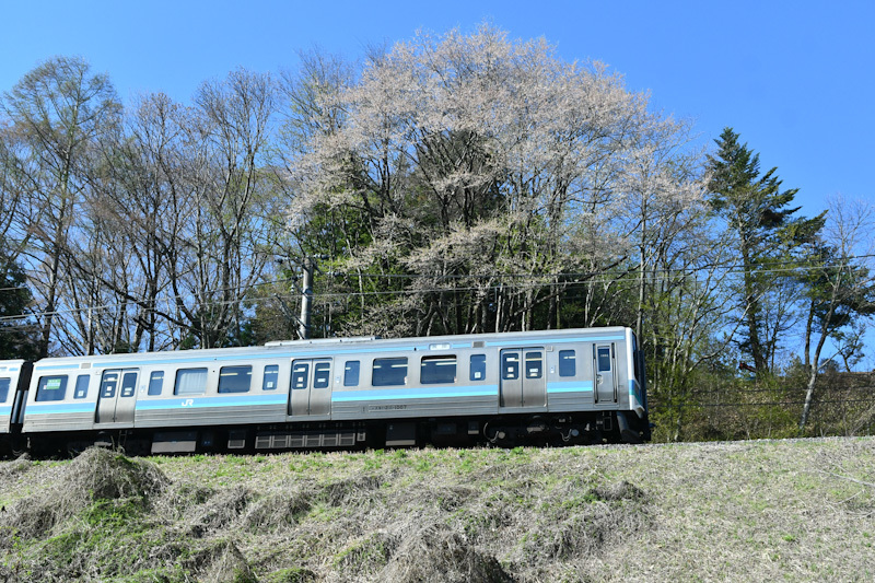 2023年4月9日撮影　飯田線　210M　211系と桜