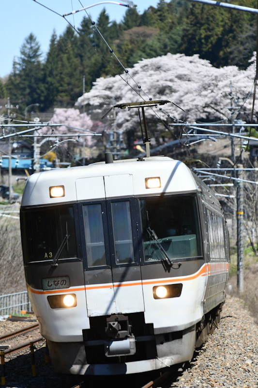 2023年4月9日撮影　中央西線は本山の桜と1008M　383系「しなの8号」　アップ