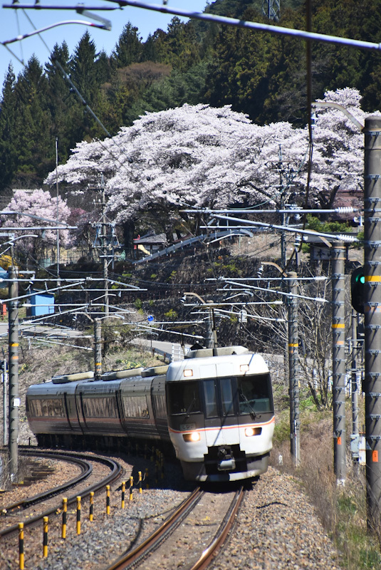 2023年4月9日撮影　中央西線は本山の桜と1008M　383系「しなの8号」