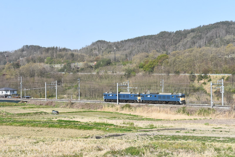 2023年4月22撮影　篠ノ井線8087ﾚ　EF64重連　坂北カーブ