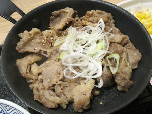 鉄板牛カルビ定食 (6)