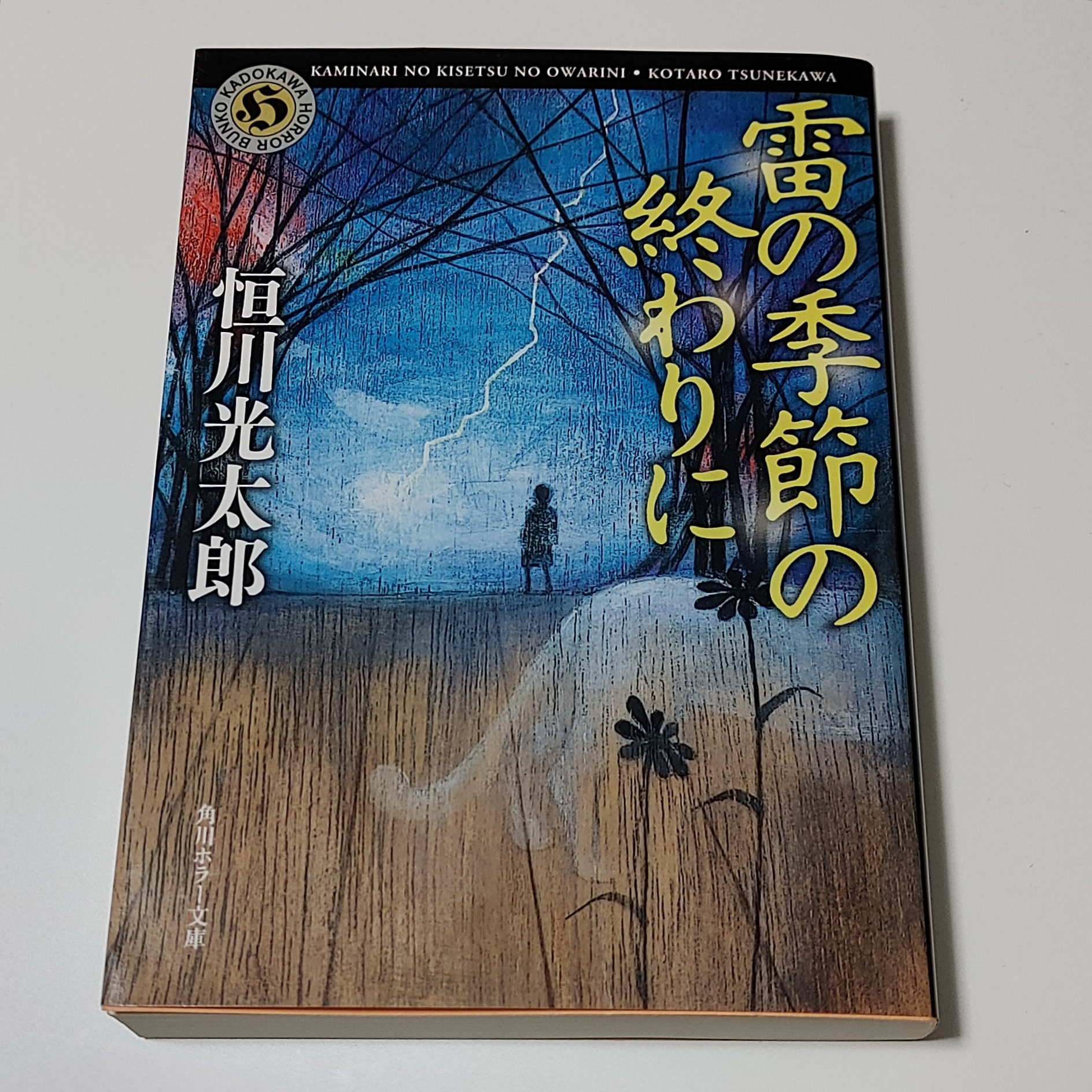 最近読んだ本 『雷の季節の終わりに』（恒川光太郎、角川ホラー文庫