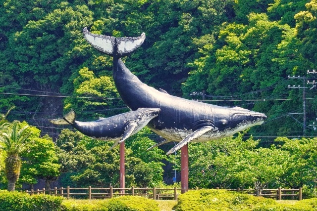 kujira-wakayama.jpg